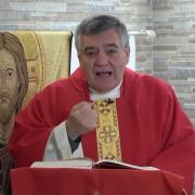 Homilía de hoy | Fiesta de San Marcos, evangelista | 25-04-2024 | Pbro. Santiago Martín, FM