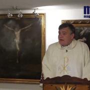 Homily, Saint Elizabeth de Hungary | Fr. Santiago Martin FM | 11.17.2020