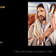 Homily of Today | Fifteenth Sunday in Ordinary Time | 7/10/2022 | Rev. Santiago Martin FM