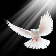 Canto para invocar al Espíritu Santo - Veni Sancte Spiritus traducido