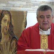 Homilía de hoy | Memoria de san Bernabé, Apóstol | 11-06-2024 | Pbro. Santiago Martín, FM
