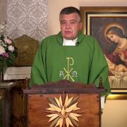 Today's Homily | Wednesday of the Thirty-First Week in O. T. | 11/03/2021 | Fr. Santiago Martin FM