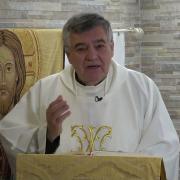 Homilía de hoy | Sábado de la IV Semana de Pascua | 27-04-2024 | Pbro. Santiago Martín, FM