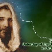 Homily of Today | Saturday of the Sixth Week in Ordinary Time | 02/18/2023 | Rev. Santiago Martín FM