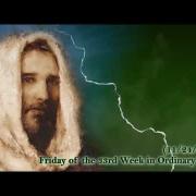 Today's Homily │ Friday of the 33rd Week in Ordinary Time │ 11.24.2023 │Rev. Santiago Martín, FM