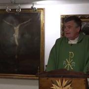 Homily, Wednesday of the Thirty Third Week in Ordinary Time | Fr. Santiago Martin FM | 11.25.2020