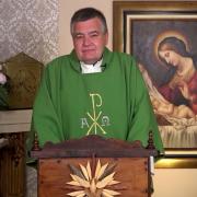 Today's Homily | Thursday of the Thirty-Third Week in O. T. | 11/18/2021 | Fr. Santiago Martin FM