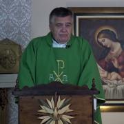 Today's Homily | Saturday of the Thirtieth Week in Ordinary Time | 10/30/2021 | Fr. Santiago Martin